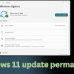 windows 11 update permanently