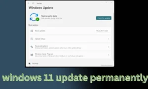 windows 11 update permanently