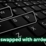 WASD swapped with arrow keys