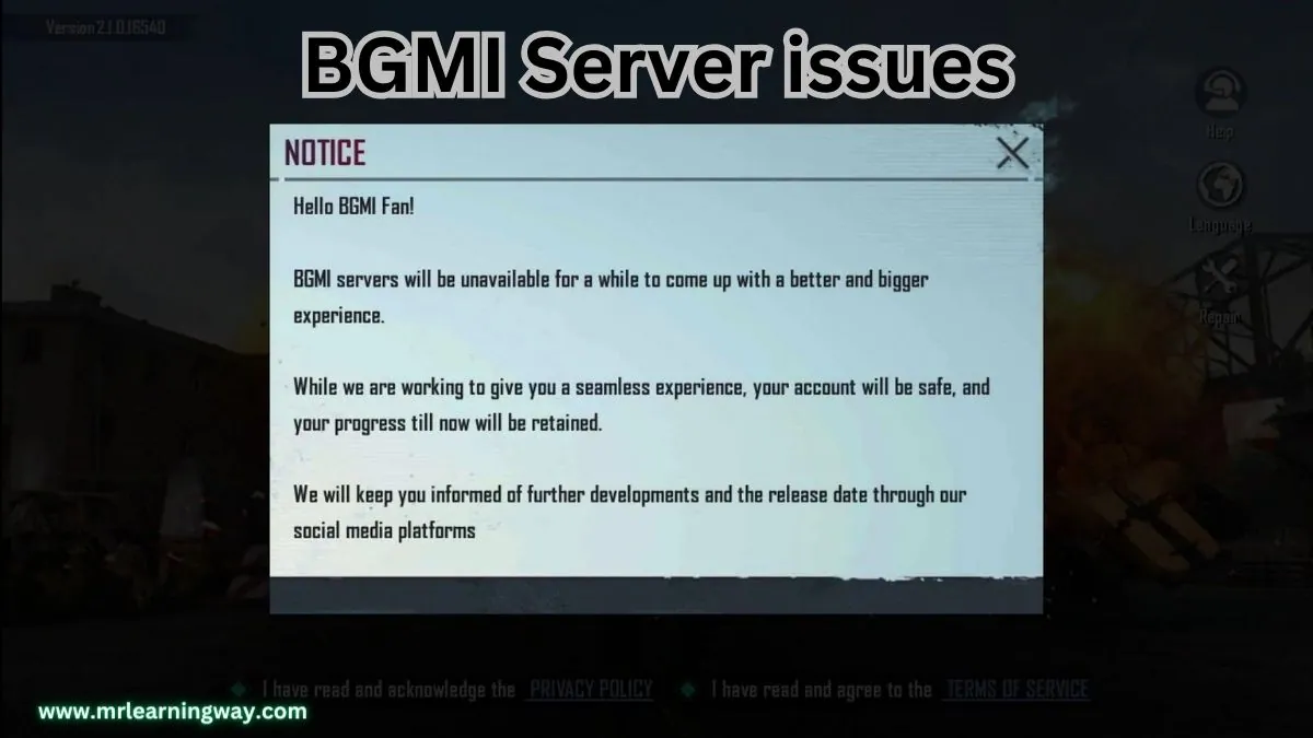 bgmi server down